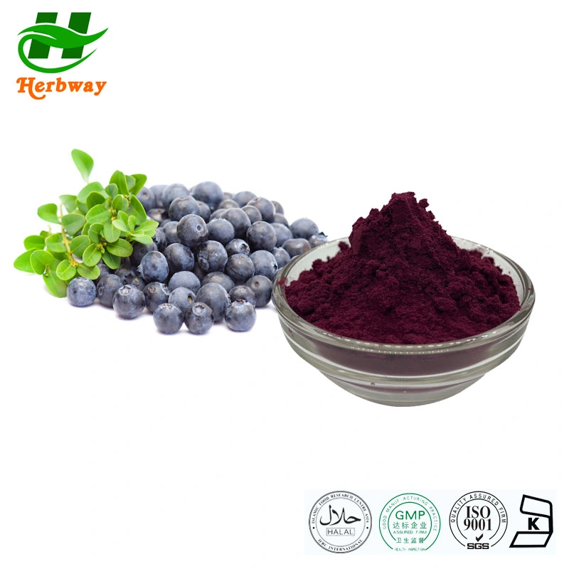 Herbway Natural Bilberry Extract Organic Bilberry Extract Blueberry Extract Proanthocyanidins Anthocyanosides Fruit Juice Powder for Health Care