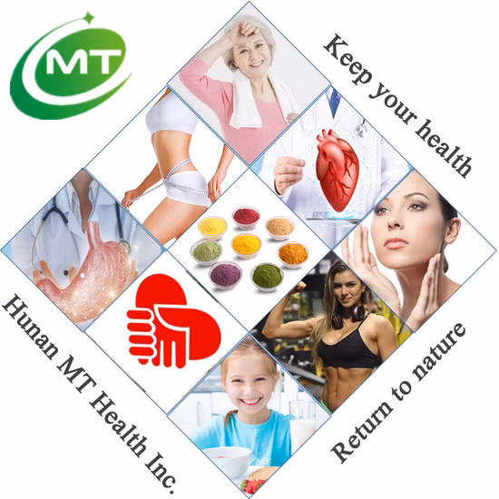 Factory Supply Bulk Organic Monk Fruit Extract Powder