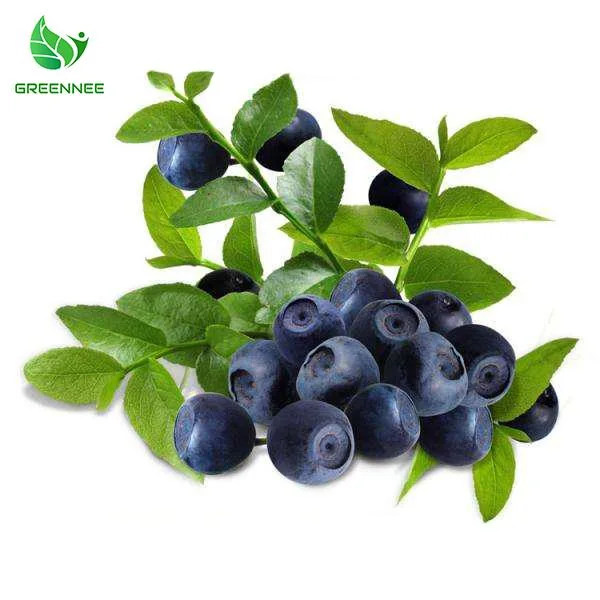 100% Pure Natural Acai Fruit Powder Acai Berry Extract Powder