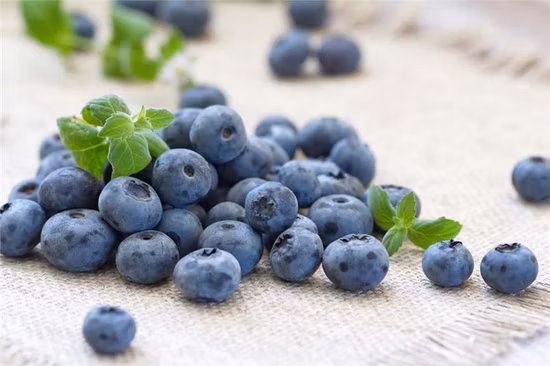 Blueberry Fruit Powder Water Soluble