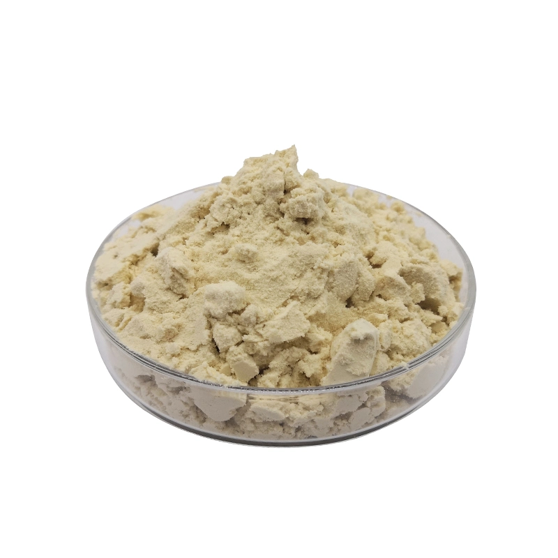 Natural Plant Extract Amino Acid Soy Raw Material Soy Protein Powder