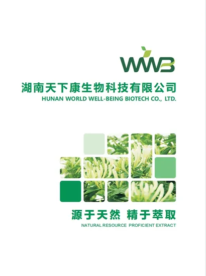 Comext-Hersteller, kostenlose Probe, traditionelle chinesische Medizin, Kräuter- und Bio-HPLC, 10 % 80 % Ginsenoside, Polysaccharide, Pulver, roter koreanischer Panax-Ginseng-Extrakt