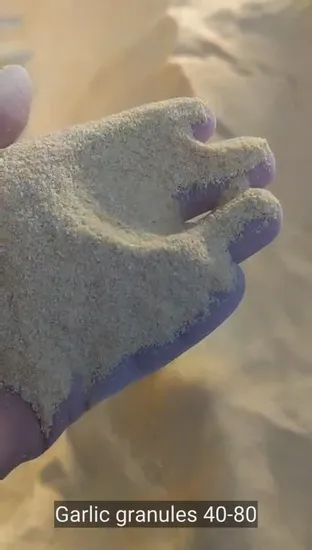 Geröstete Gemüseprodukte Gewürz geröstetes Knoblauchgranulat