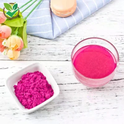 100 % natürliches, organisches, gefriergetrocknetes Red Dragon Pitaya-Fruchtpulver