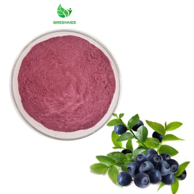 100 % reines natürliches Acai-Fruchtpulver, Acai-Beeren-Extrakt-Pulver