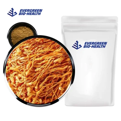 Kräuterextrakt Bio-getrockneter Cordyceps Militaris